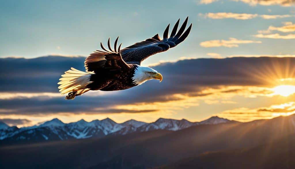 soar on wings like eagles