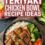 Teriyaki Chicken Bowl